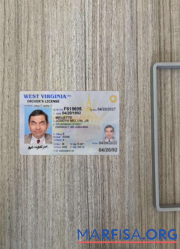 Blank USA West Virginia driving license 2022 present photolook example